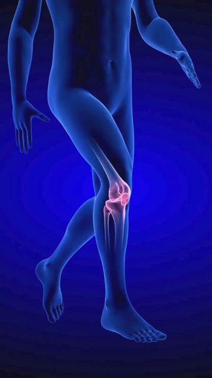 Rodillera Ortopédica Deportiva KneeFlex